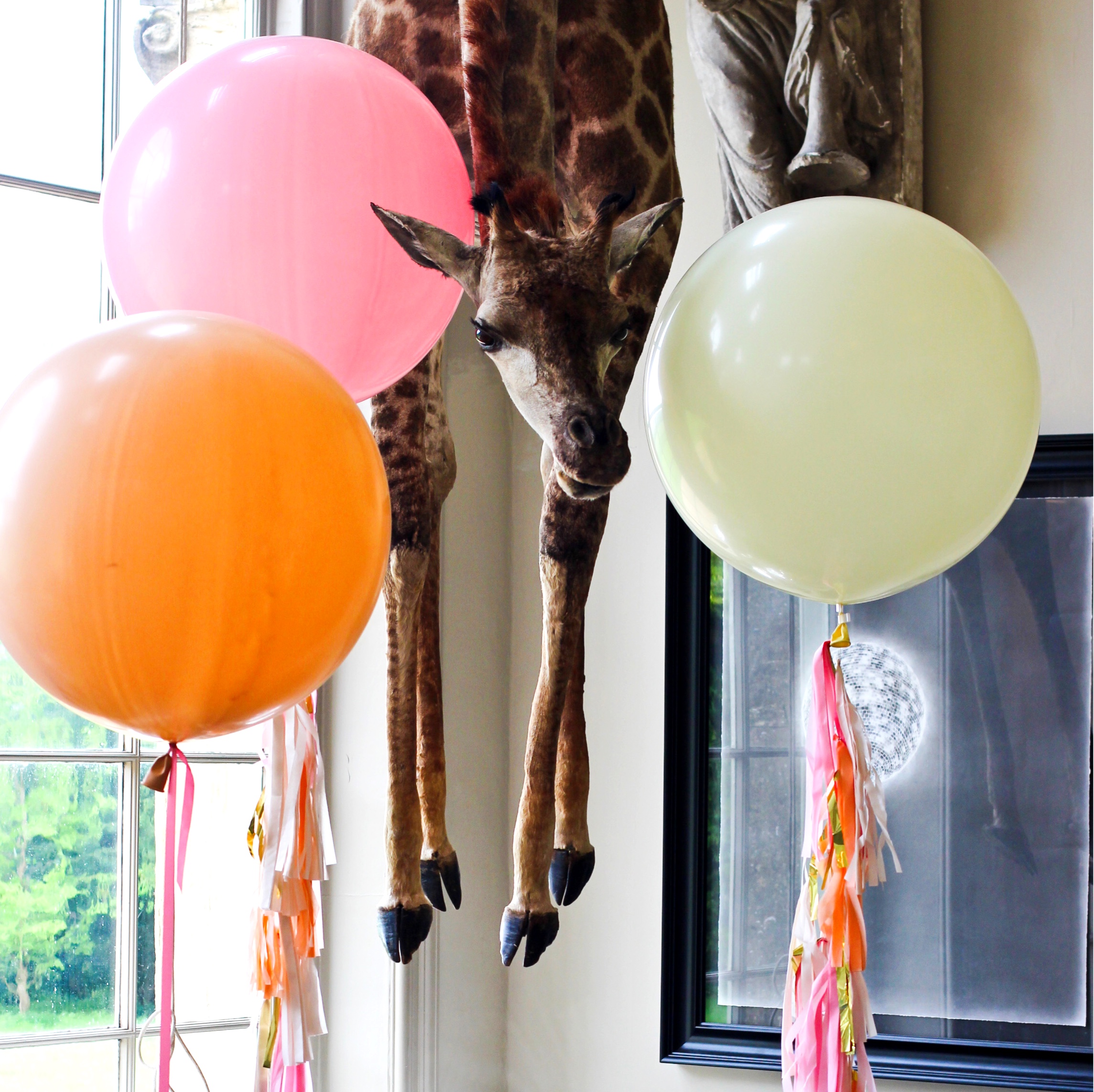 Bubblegum Balloons - Lucy Davenport Photography