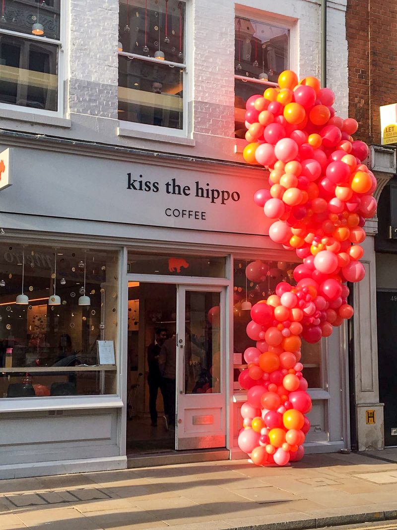 Kiss The Hippo (4)