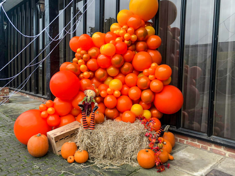 Claire Higgins Orange Halloween (5)