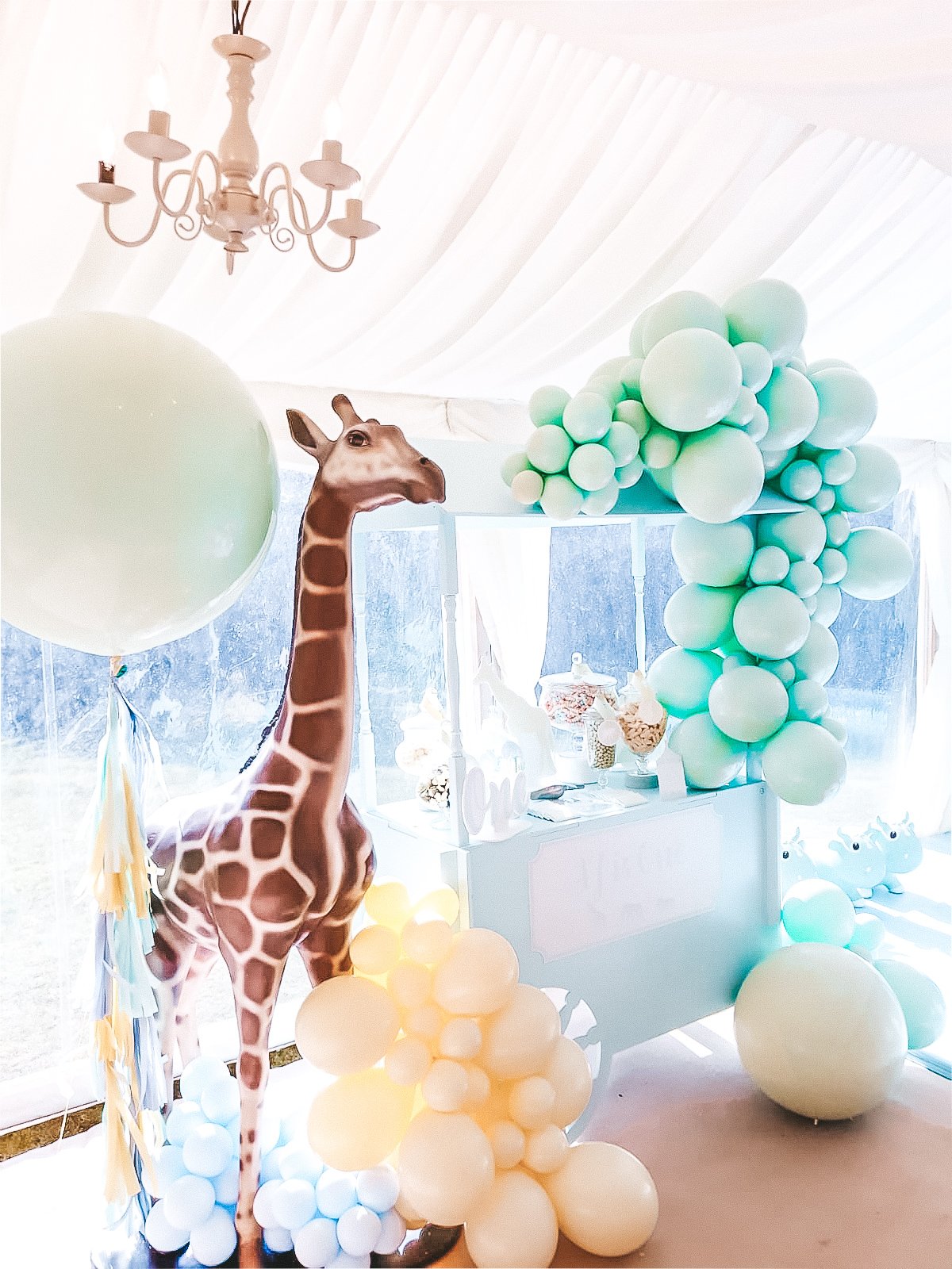 Pastel Baby Shower